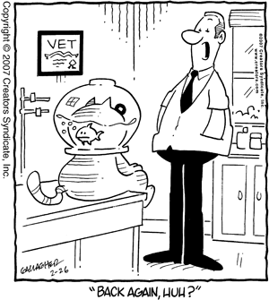 heathcliff
